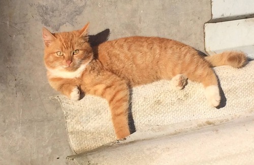 Oberwartha Other | Welcome to the shared house on the edge of the forest