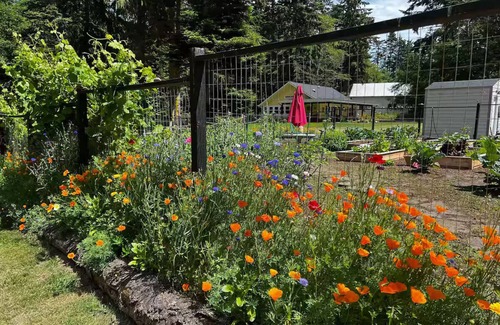 Oak Harbor Apartment | Welcome to Tranquility Place, Whidbey Island