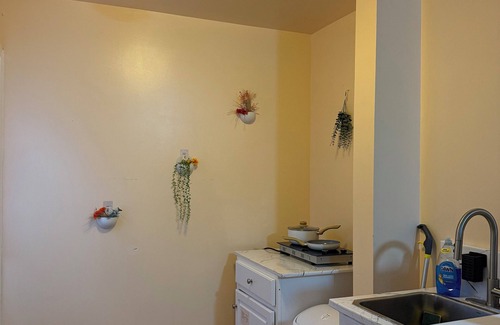 Charlottesville Apartment | Welcome to Your Perfect Home Away from Home – Comfort, and Relaxation Awaits!