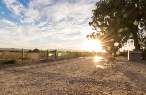 Oudtshoorn Apartment | Welgeluk Cottage