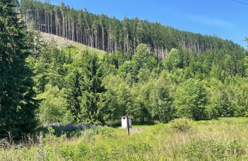 Brezova Other | Wellness Retreat Glamping - Adults Only - Forest & Valley