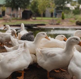 Bloemfontein Apartment | Welverdiend - Unit 2