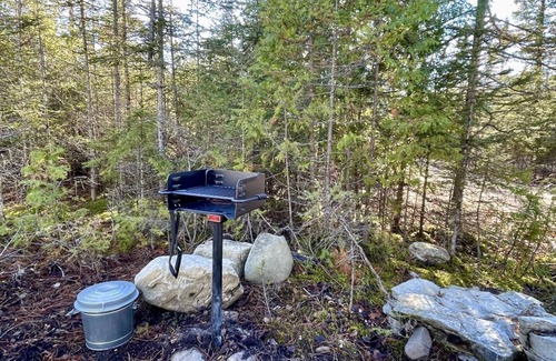 Drummond Island House | White Birch Cabin on Drummond Island