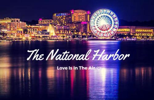 Bowie Bed & Breakfast | White light retreat