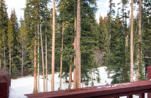 Peak 8 House | White Wolf 962