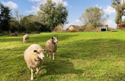 Fiddington House | Wick Mill