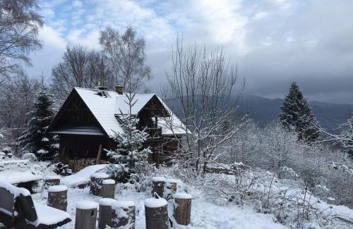 Wetlina Cabin | Wideta