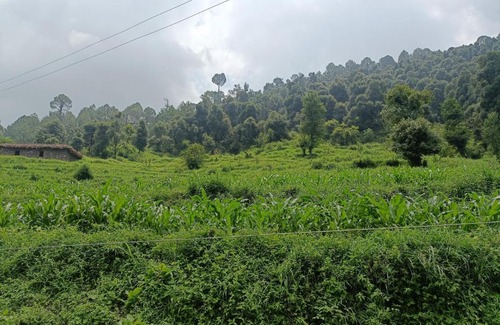 Rajauri House | Wild Freaks