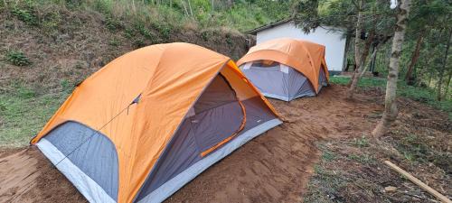 Mannarkkad Other | wild grove resorts