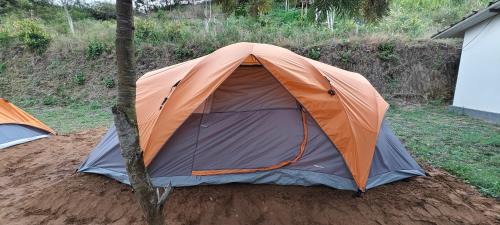 Mannarkkad Other | wild grove resorts