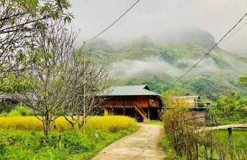 Yen Minh House | Wild Orchid- Lan Home