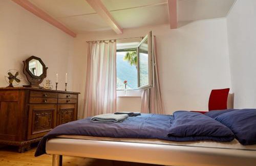 Isorno Apartment | Wild Valley Palm Garden in Valle Onsernone