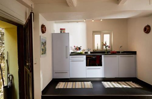 Isorno Apartment | Wild Valley Palm Garden in Valle Onsernone