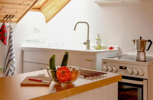 Isorno Apartment | Wild Valley Village Life Apartment in Onsernone