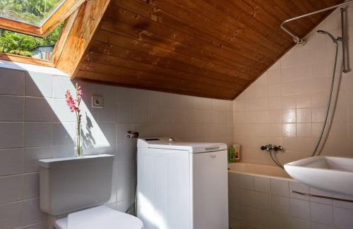 Isorno Apartment | Wild Valley Village Life Apartment in Onsernone