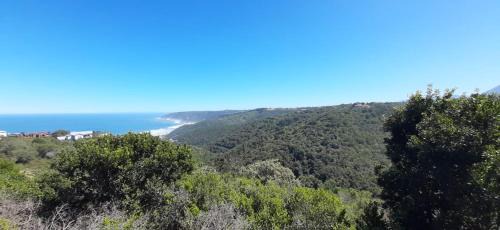 Wilderness Apartment | Wild Views Wilderness