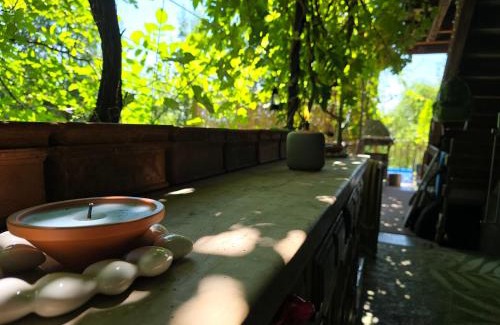 Mirchel House | Wild Wild Arnistein