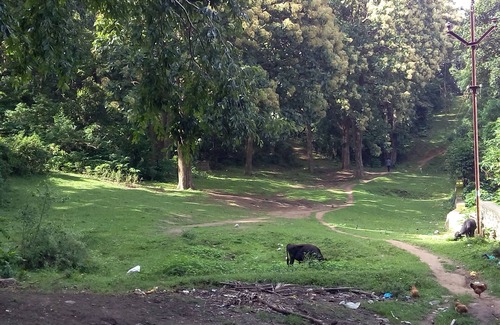 Kumily House | WILD WINDOW Homestay in front of Periyar Tiger Reserve forest