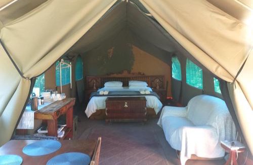 Wilderness Other | Wilderness Glamping Tents