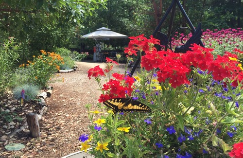 Cave Junction RV Rental | Wildlife, Nature, Glamp 1