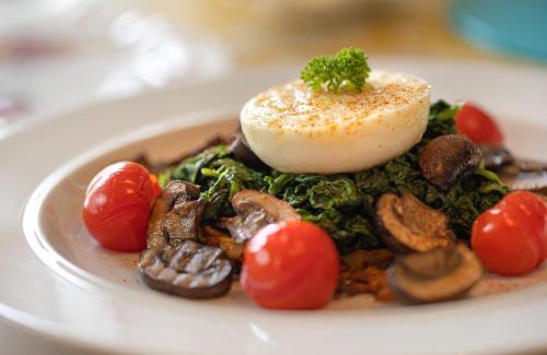 New Forest District Bed & Breakfast | Wildwood B&B