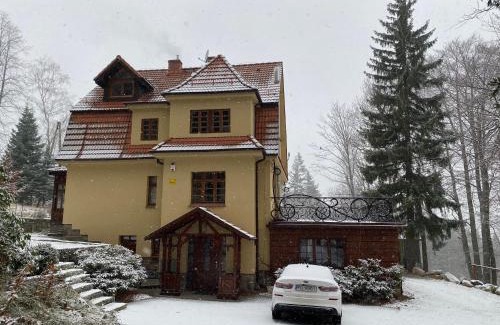 Sosnowka Villa | Willa pod Seidorfem