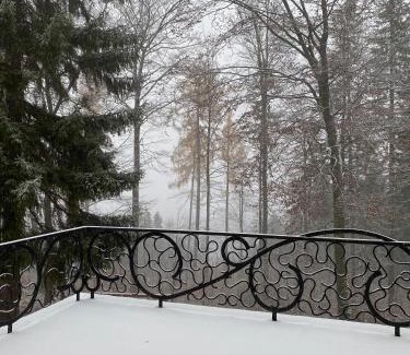 Sosnowka Villa | Willa pod Seidorfem