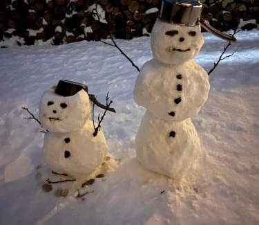 Krzyzowka House | Willa WIKTORIA