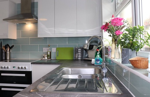 Nettlestone Ski Chalet | Willow-Oak