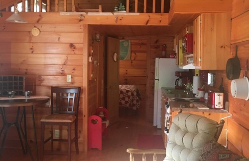 Asheville Cabin | Willow Pond/log cabin. Willow Pond invites you to relax.