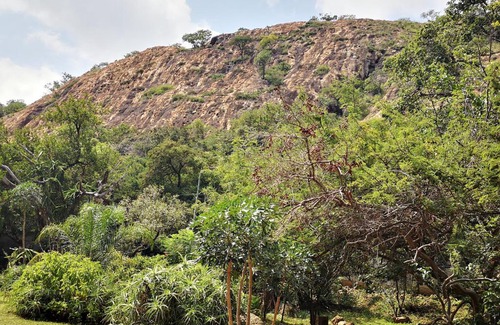 Umjindi House | Windsor Cottage