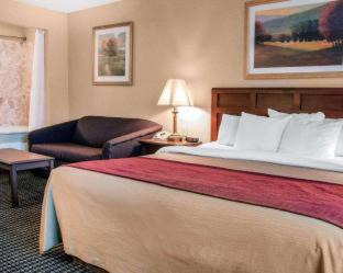 Livonia Hotel | Wingate by Wyndham Livonia