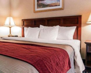 Livonia Hotel | Wingate by Wyndham Livonia