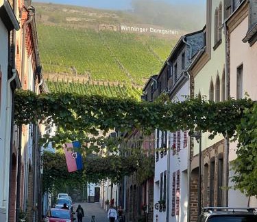 Winningen Apartment | Winningen Ferienwohnung Beste Lage Terrasse