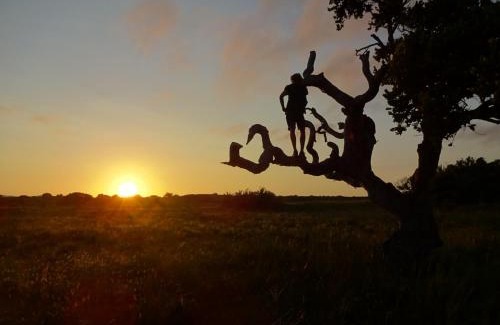 Umhlabuyalingana Other | Winterdodgers Backpackers and Campsite