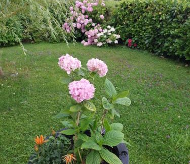 Perwang am Grabensee Apartment | Wintergarten