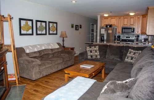 Ghent Apartment | Winterplace Ski in Ski out condo First Floor D103