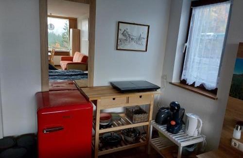 Bad Goisern Apartment | Wohnung in Bad Goisern