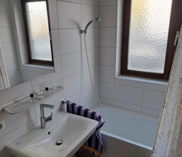 Bad Goisern Apartment | Wohnung in Bad Goisern