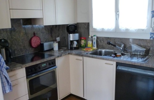 Lungern Ski Chalet | Wohnung Paradiesli