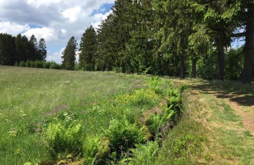 Clausthal-Zellerfeld Hotel | Wolfs Hotel