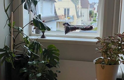 Stavanger Apartment | Wonderful 1-bedroom apartment in Stavanger