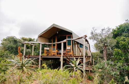 Sidbury Other | Woodbury Tented Camp – Amakhala Game Reserve
