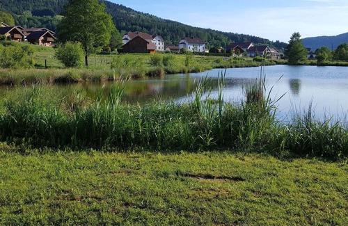 Le Syndicat Ski Chalet | Wooden chalet in Vosges by a pond