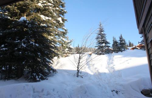 Sun Peaks House | Woodhaven # 8 in Sun Peaks