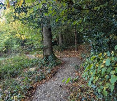 Leckhampton Apartment | Woodland Cabin - Cotswold Way - Logs & Dogs