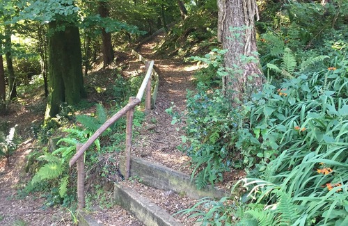 Barnstaple Cottage | woodland cottage