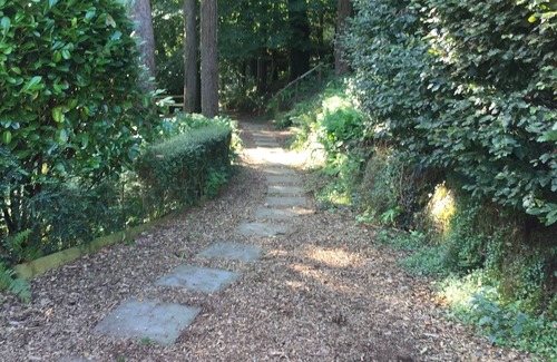 Barnstaple Cottage | woodland cottage