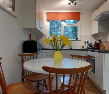 Lelant House | Woodland Retreat