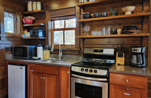 Cheshire Cabin | Woodpecker’s Hollow | Cabin w/Fireplace + Views + Biltmore Pass